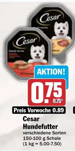 AEZ Cesar Hundefutter Angebot