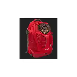 Netto Marken-Discount Kurgo G-Train Hunderucksack, Rot Angebot