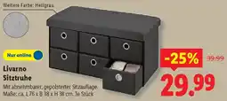Lidl Livarno Sitztruhe Angebot
