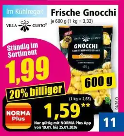 Norma Frische Gnocchi Angebot