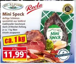 Norma Mini Speck Angebot