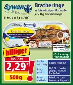 Norma Bratheringe Angebot