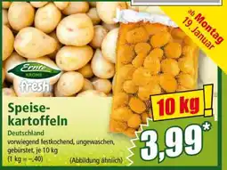 Norma Speisekartoffeln Angebot