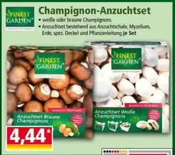 Norma Champignon Anzuchtset Angebot
