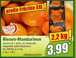 Norma Riesen-Mandarinen Angebot