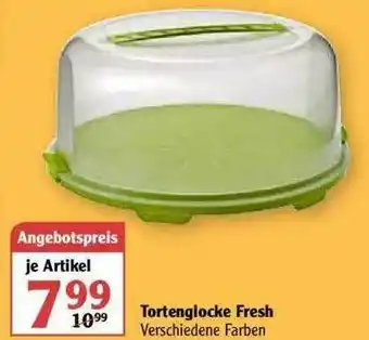 Globus Tortenglocke Fresh Angebot