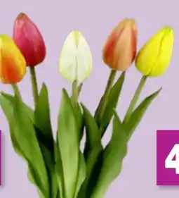 Thomas Philipps Künstlicher Tulpenbund Angebot