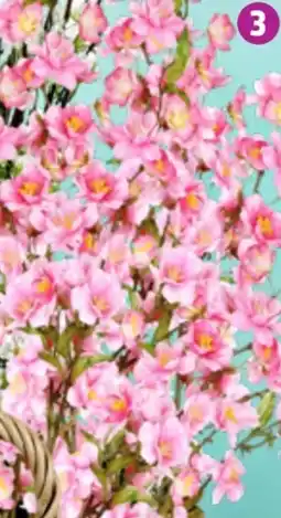 Thomas Philipps Kirschblütenzweig Angebot