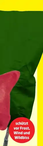 Thomas Philipps XXL-Pflanzenfrostschutz Angebot