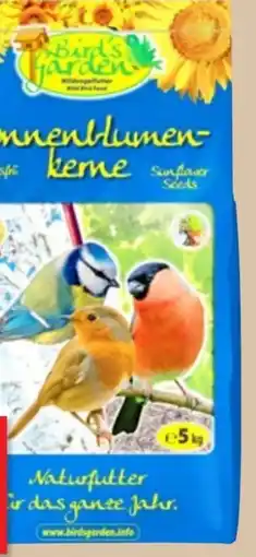 Thomas Philipps Bird's Garden Sonnenblumenkerne Angebot
