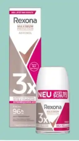Rossmann Rexona Maximum Protection Deospray Angebot