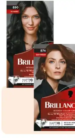 Rossmann Schwarzkopf Brillance Coloration Angebot
