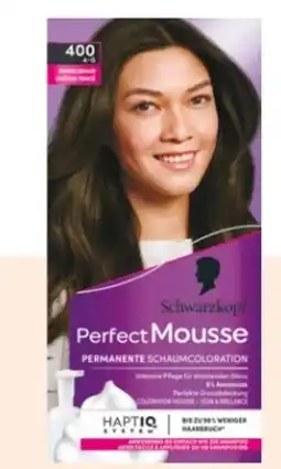 Rossmann Schwarzkopf Perfect Mousse Schaum Coloration Angebot