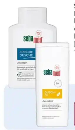 Rossmann Sebamed Frische Dusche Angebot
