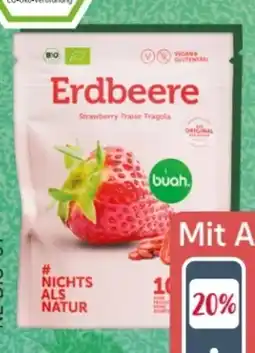 Rossmann Buah Erdbeere Angebot