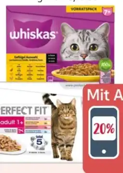Rossmann Whiskas Katze Nassfutter Vorratspack Angebot