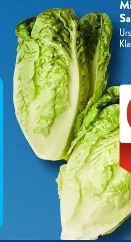 Aldi Süd Salatherzen Mini Romana Angebot