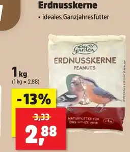 Thomas Philipps Birds garden erdnusskerne Angebot
