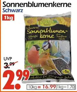 Wreesmann Sonnenblumenkerne schwarz Angebot