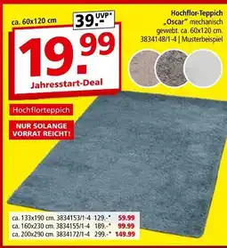 Segmüller Hochflor-teppich 'oscar' Angebot
