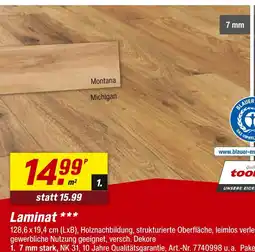 toom Baumarkt Laminat montana / michigan Angebot