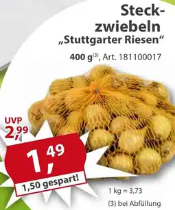 Sonderpreis Baumarkt Steckzwiebeln ,,Stuttgarter Riesen" Angebot