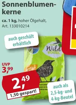 Sonderpreis Baumarkt Sonnenblumenkerne Angebot