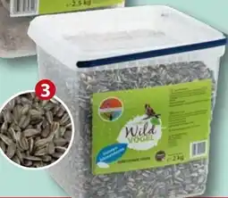 Sonderpreis Baumarkt Sonnenblumenkerne Angebot