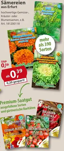 Sonderpreis Baumarkt Sämereien aus Erfurt Angebot