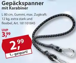 Sonderpreis Baumarkt Gepäckspanner mit Karabiner Angebot