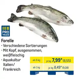 METRO Forelle Angebot