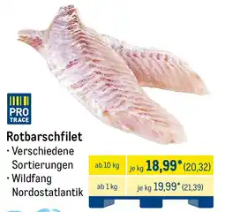 METRO Rotbarschfilet Angebot