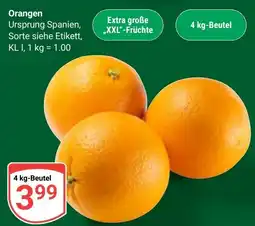 Globus Orangen Angebot
