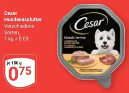 Globus Cesar Hundenassfutter Angebot