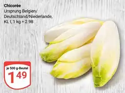 Globus Chicorée Angebot