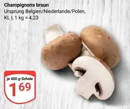 Globus Champignons braun Angebot