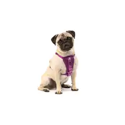 Netto Marken-Discount Kurgo Tru-Fit Autosicherheitsgeschirr für Hunde, Größe XS, Lila Angebot