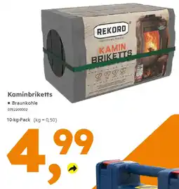Globus Baumarkt Rekord Kaminbriketts Angebot