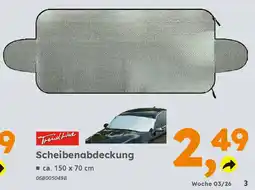 Globus Baumarkt TrendLine Scheibenabdeckung Angebot