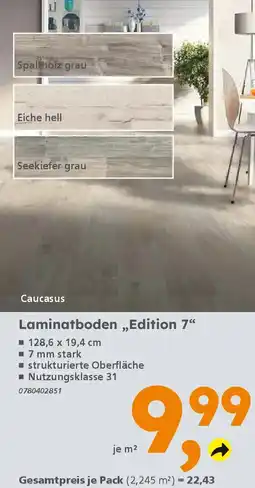 Globus Baumarkt Laminatboden,,Edition 7" Angebot