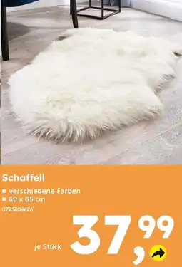 Globus Baumarkt Schaffell Angebot