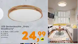 Globus Baumarkt LED Deckenleuchte,,Orbis Woodburry" Angebot