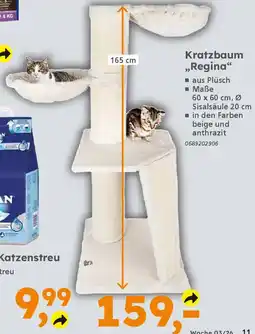 Globus Baumarkt Kratzbaum ,,Regina" Angebot