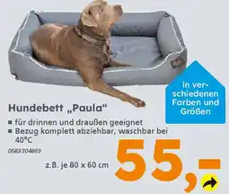 Globus Baumarkt Hundebett,,Paula❝ Angebot