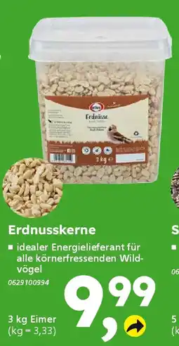 Globus Baumarkt elles Erdnusskerne Angebot