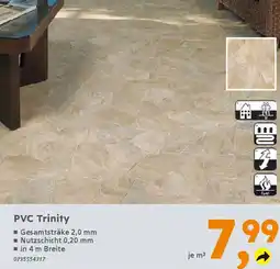 Globus Baumarkt PVC Trinity Angebot