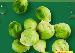 Aldi Nord Rosenkohl Angebot