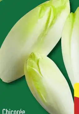 Aldi Nord Chicoree Angebot