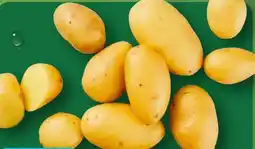 Aldi Nord Kleine Speisekartoffeln Drillinge Angebot