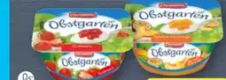 Aldi Nord Ehrmann Obstgarten Erdbeere Angebot